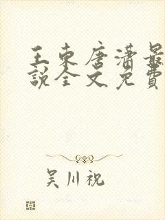 王东唐潇最新小说全文免费阅读