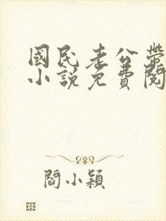 国民老公带回家小说免费阅读