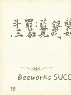 斗罗:蓝银双生,三敬见我如父免费
