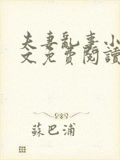 夫妻乱事小说全文免费阅读最新章节