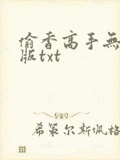 偷香高手无删减版txt封面
