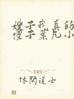 嫂子我真的不是傻子叶凡小说全文阅读