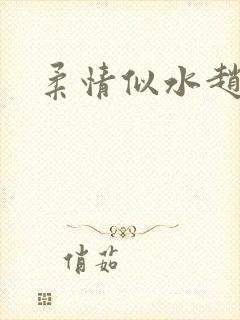 柔情似水赵雅儿封面