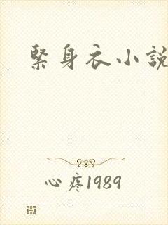 紧身衣小说