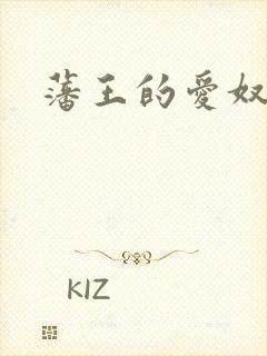 藩王的爱奴