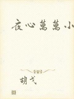 夜心万万小说