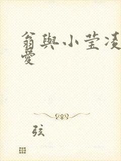 翁与小莹凌晨欢爱封面