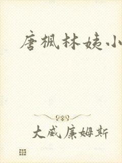 唐枫林姨小说
