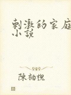 刺激的家庭乱仑小说