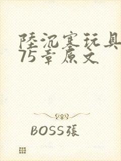 陆沉塞玩具高速75章原文