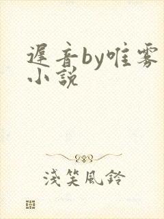 迟音by唯雾的小说