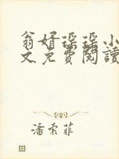 翁婿瑶瑶小说全文免费阅读最新章节封面