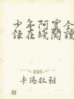 少年阿宾全文目录在线阅读封面