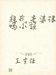 亲我老婆很爽是吗小说
