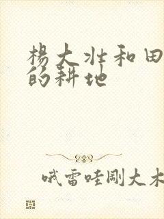 杨大壮和田桂花的耕地