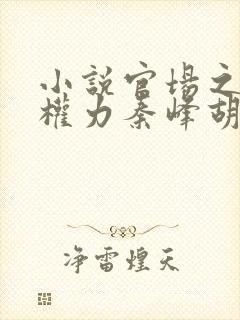 小说官场之绝对权力秦峰胡佳云免费阅读