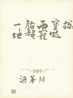一胎两宝总裁爹地超宠哒