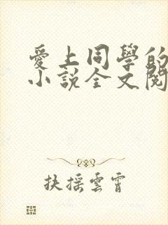 爱上同学的妈妈小说全文阅读