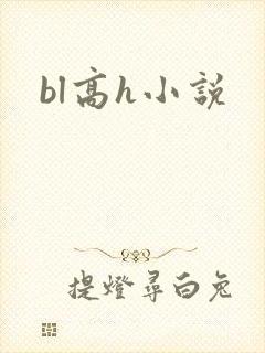 bl高h小说