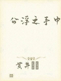 公浮之手中字5