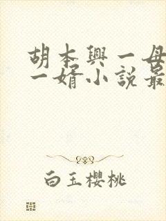 胡本兴一母四女一婿小说最新章节更