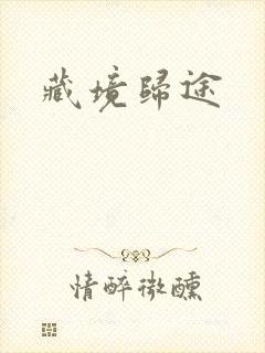 藏境归途