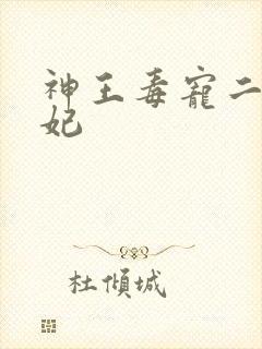 神王毒宠二嫁王妃