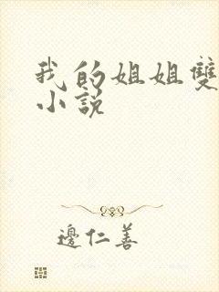 我的姐姐双女主小说