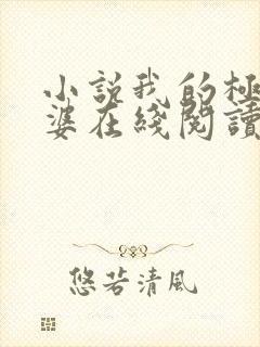 小说我的极品老婆在线阅读
