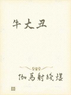 牛大丑封面