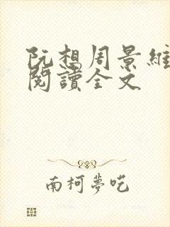 阮想周景维免费阅读全文封面