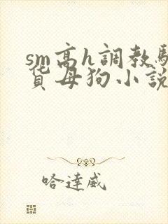 sm高h调教骚货母狗小说