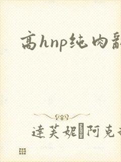 高hnp纯肉乱