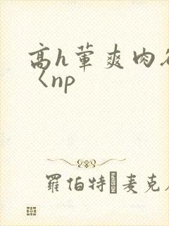 高h荤爽肉欲文〈np