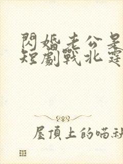 闪婚老公是豪门短剧战北霆封面