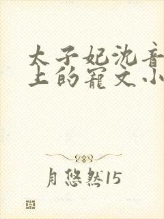 太子妃沈音和皇上的宠文小说