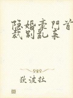 隐婚豪门首席总裁别乱来