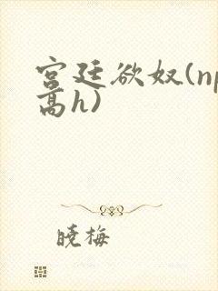 宫廷欲奴(np高h)