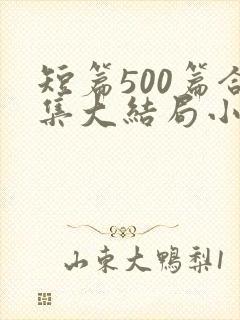 短篇500篇合集大结局小说文心阁