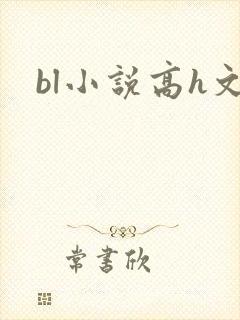 bl小说高h文