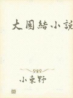 大团结小说阅读