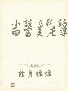 小说《我的总裁白富美老婆》