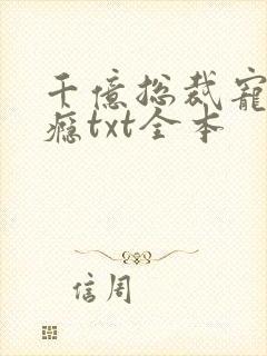 千亿总裁宠妻上瘾txt全本