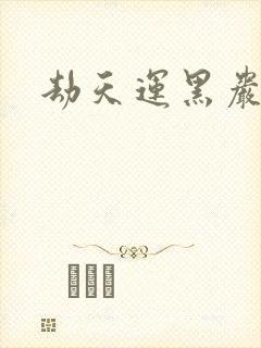 劫天运黑岩