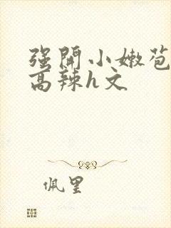 强开小嫩苞h文高辣h文封面