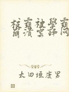 校霸被学霸玩到崩溃云译网