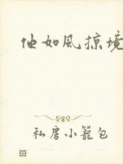 他如风掠境封面