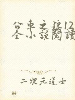 公车之狼12集全小说阅读
