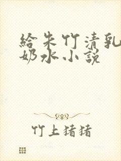 给朱竹清乳房榨奶水小说封面