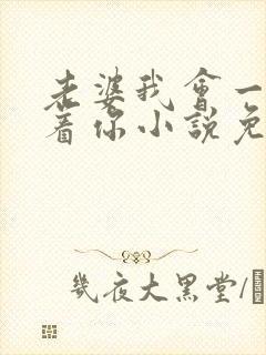 老婆我会一直缠着你小说免费阅读全文
